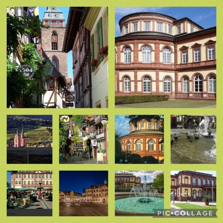 Ferienhaus Heil Neustadt an der Weinstraße Buitenkant foto